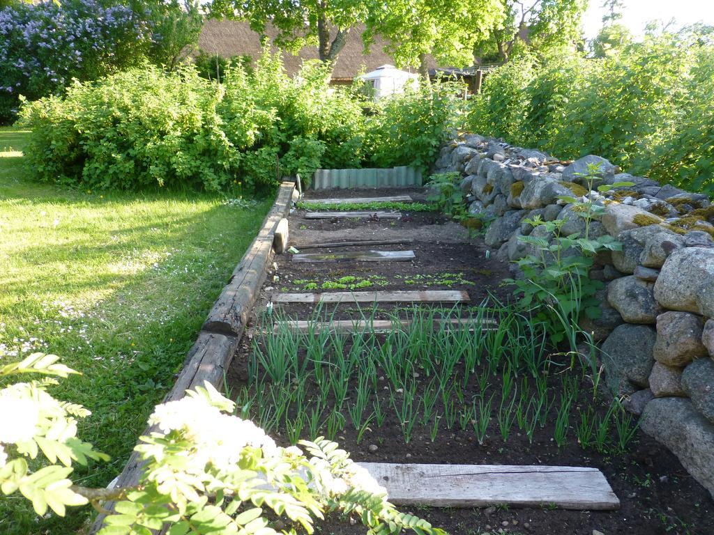 Villa Jurna Recreation Farm Upa Exterior foto